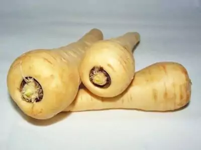 Pastinake