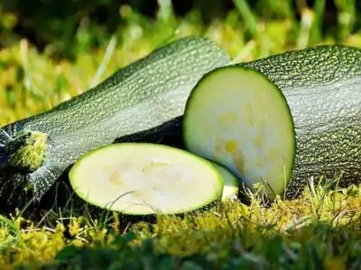 Zucchini
