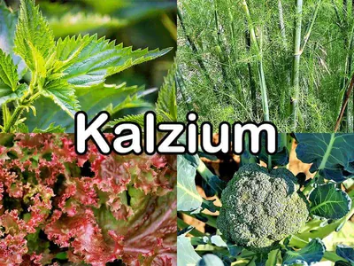 Kalzium
