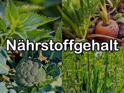 Nährstoffgehalt von Futterpflanzen