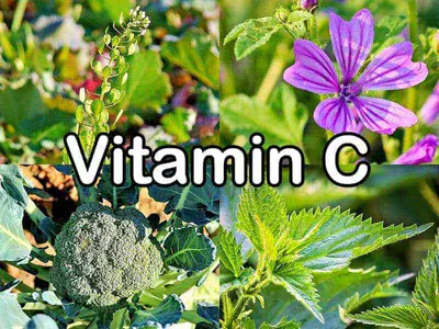 Vitamin C