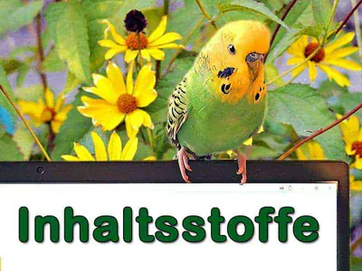 Inhaltsstoffe von Futterpflanzen