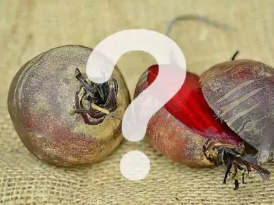 Rote Bete als Frischfutter?!?