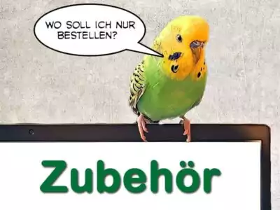 Wellensittich-Zubehör Wellensittich-Zubehör von A bis Z