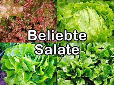 Nährstoffvergleich - Salate Beliebte Salate