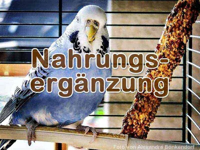 Handelsübliche Nahrungsergänzung Handelsübliche Nahrungsergänzung
