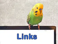 Links zu anderen Seiten