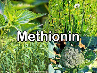 Methionin