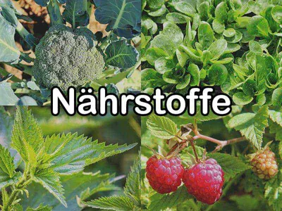 Inhalts- & Nährstoffe Inhalts- & Nährstoffe