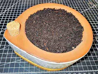 Schale mit Erde Schale mit Erde