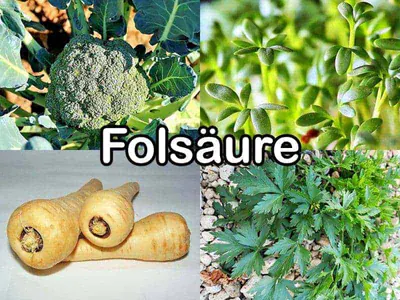 Folsäure
