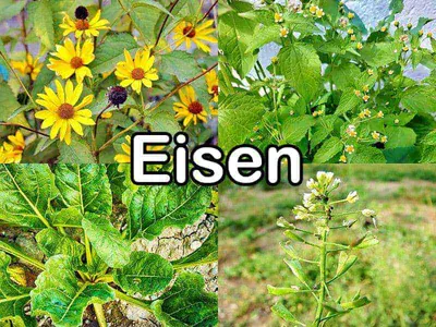 Eisen