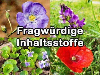 Fragwürdige Inhaltsstoffe Fragwürdige Inhaltsstoffe