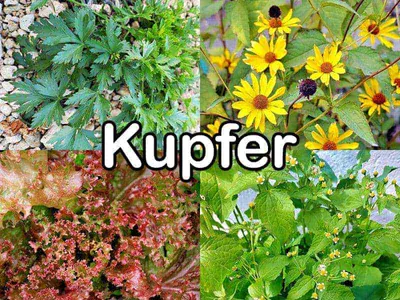 Kupfer