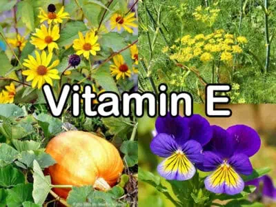 Vitamin E Vitamin E