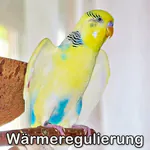 Wärmeregulierung