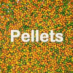 Pellets als Futter für Wellensittiche?