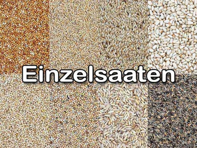 Körner & Saaten Körner und Saaten