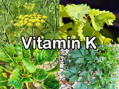 Vitamin K