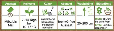 Pflanzinformationen Pflanzinformationen