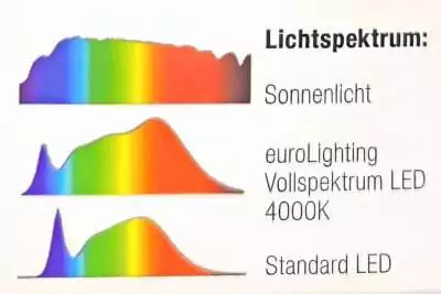 Lichtspektrum Lichtspektrum