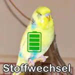 Stoffwechsel bei Vögeln (Faktencheck)