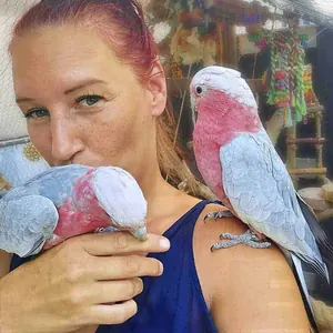 Sabine Krause Sabine Krause