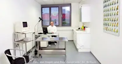 Vogelkundige Tierärzte