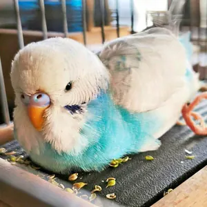 Die Geschichte vom Fundvogel Gunnar