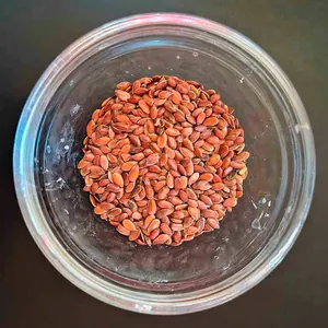 Leinsamen 10g 10g Leinsamen