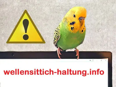 Warnung vor Webseite Warnung vor Webseite