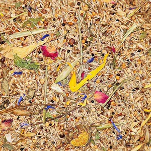 Parrots Parcel Nature Parrots Parcel Nature