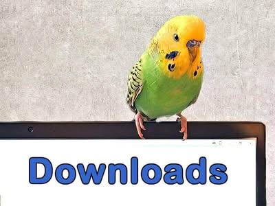 Downloads