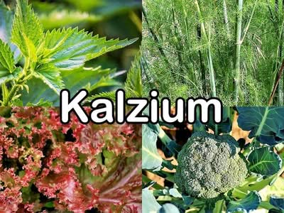 Kalzium