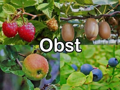 Nährstoffe im Obst