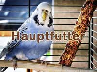 Hauptfutter im Handel Hauptfutter im Handel