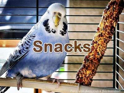 Handelsübliche Snacks Handelsübliche Snacks