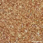 Rote Hirse Rote Hirse