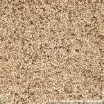 Teff (Zwerghirse) Teff (Zwerghirse)
