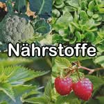 Nährstoffe Nährstoffe in Futterpflanzen
