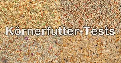 Tests von Körnerfutter für Wellensittiche